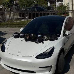 dandy and El Mago Hats 