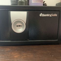 sentrysafe