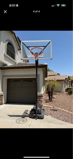 Silverback basketball hoop