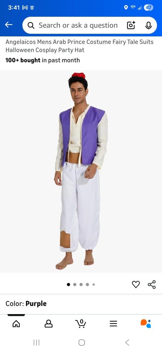 Mens Aladdin Costume 