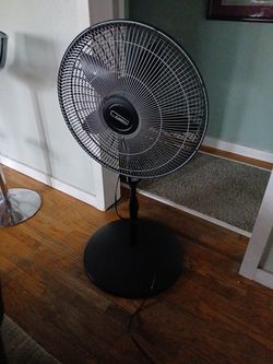 Fan 20inch