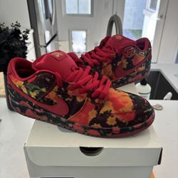 NIKE SB DUNK WIZARD OF OZ