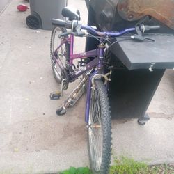 Mountain Bike