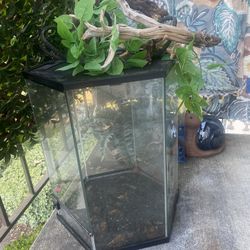 Reptile Tank 