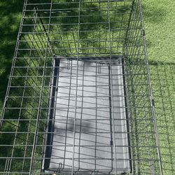 Dog Crate 