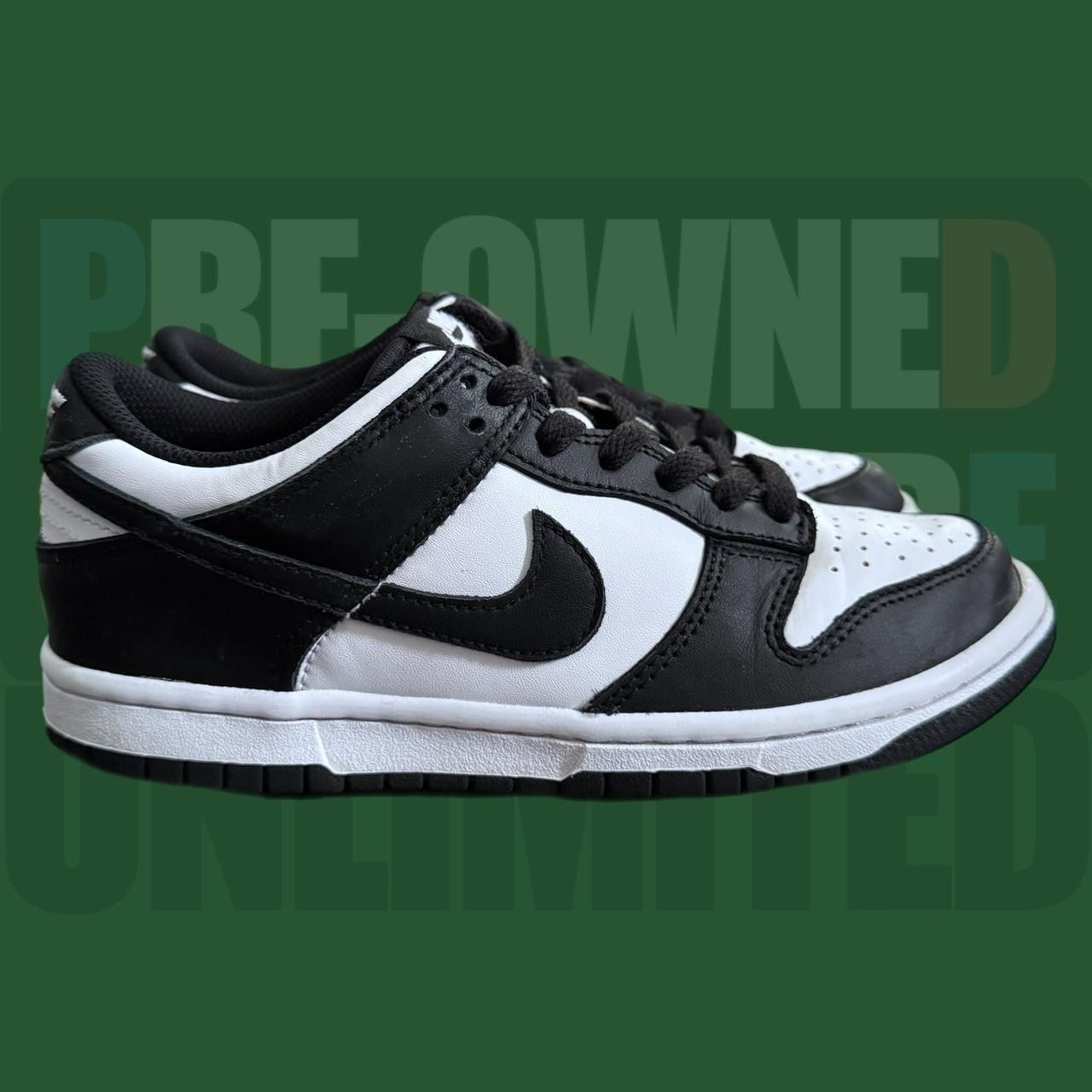 Kid’s Nike Air Dunk Low