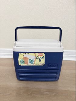 Small cooler lunch box