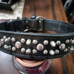 XL Spiked Leather Dog Collar