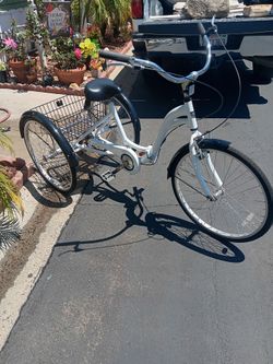 Kent tricycle bike adult bike 3 wheels