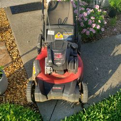 Lawn Mower Briggs & Stratton with lawn bag