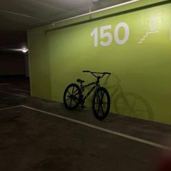 Big flyer cam green fix gear