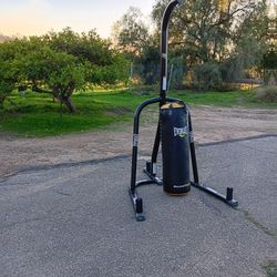 Everlast Bag And Stand 