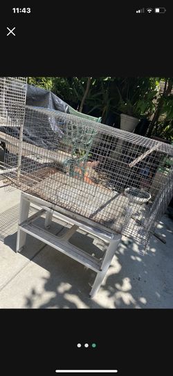 Pigeon Cage