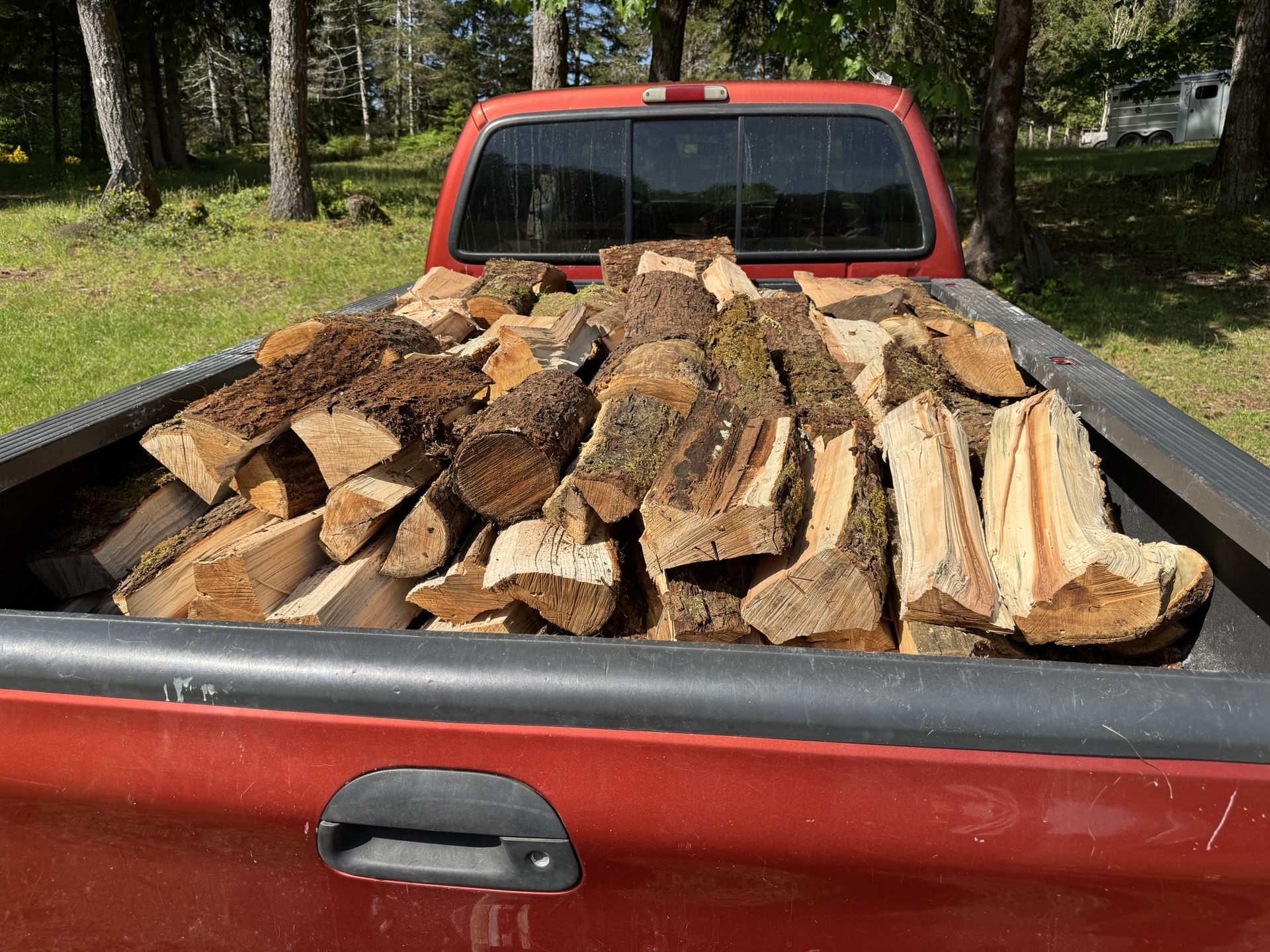 Dry, oak wood cut and split