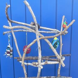 Our Funky Curvy Parrot Tree … Lots Of Fun And Wing Flapping… ❤️
