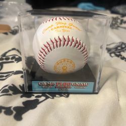 Camp Flog Gnaw Collectable Baseball With Case 