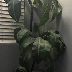 Beautiful Artificial Dracaena Palm Tree (4FT. Tall) Looks Real