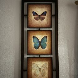 A Pair Of Butterfly Wall Frames 