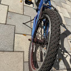 Children’s Trek Bike