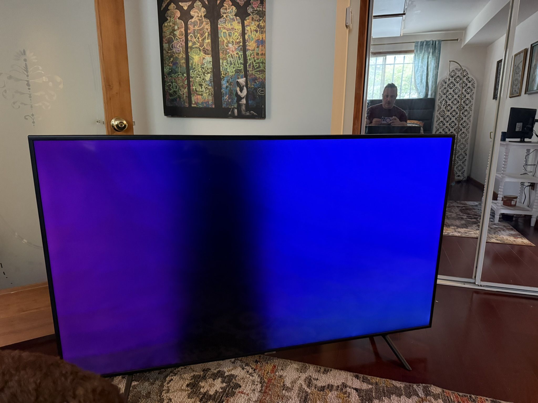 Samsung 65 Inch smart tv LED Light Blown