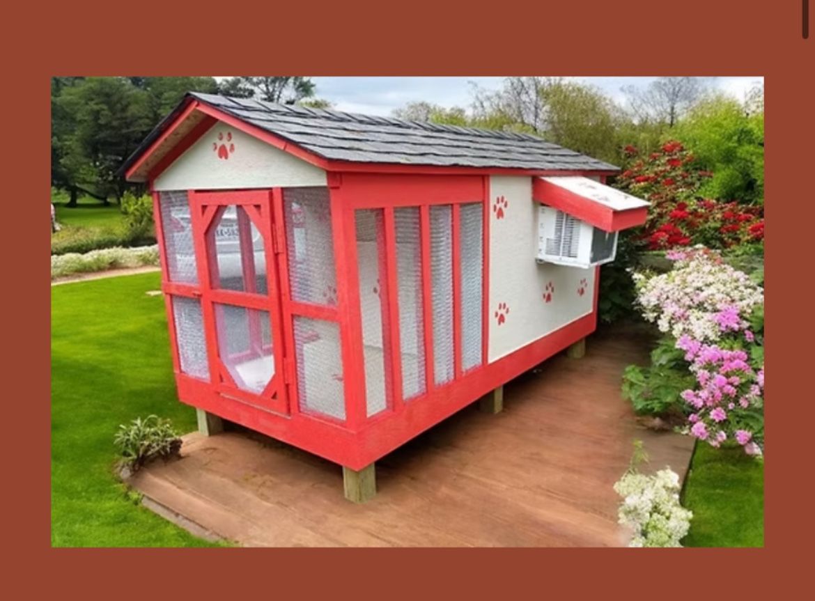 Dog house