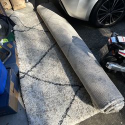 Thomasville Shag Rug