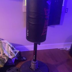 Everlasting Punching Bag And Gloves 