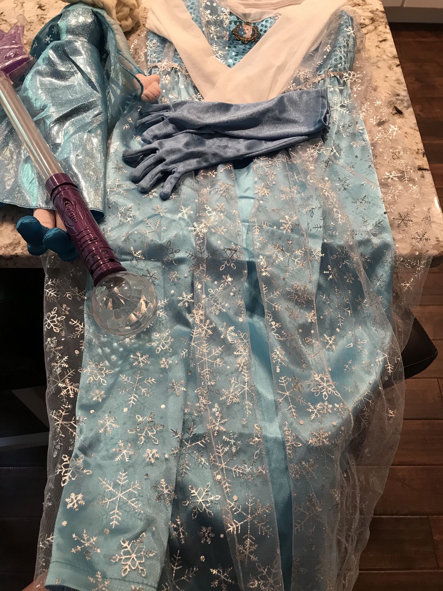 Elsa dress and accessories