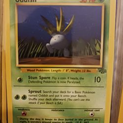 Pick Up Only Not holographic