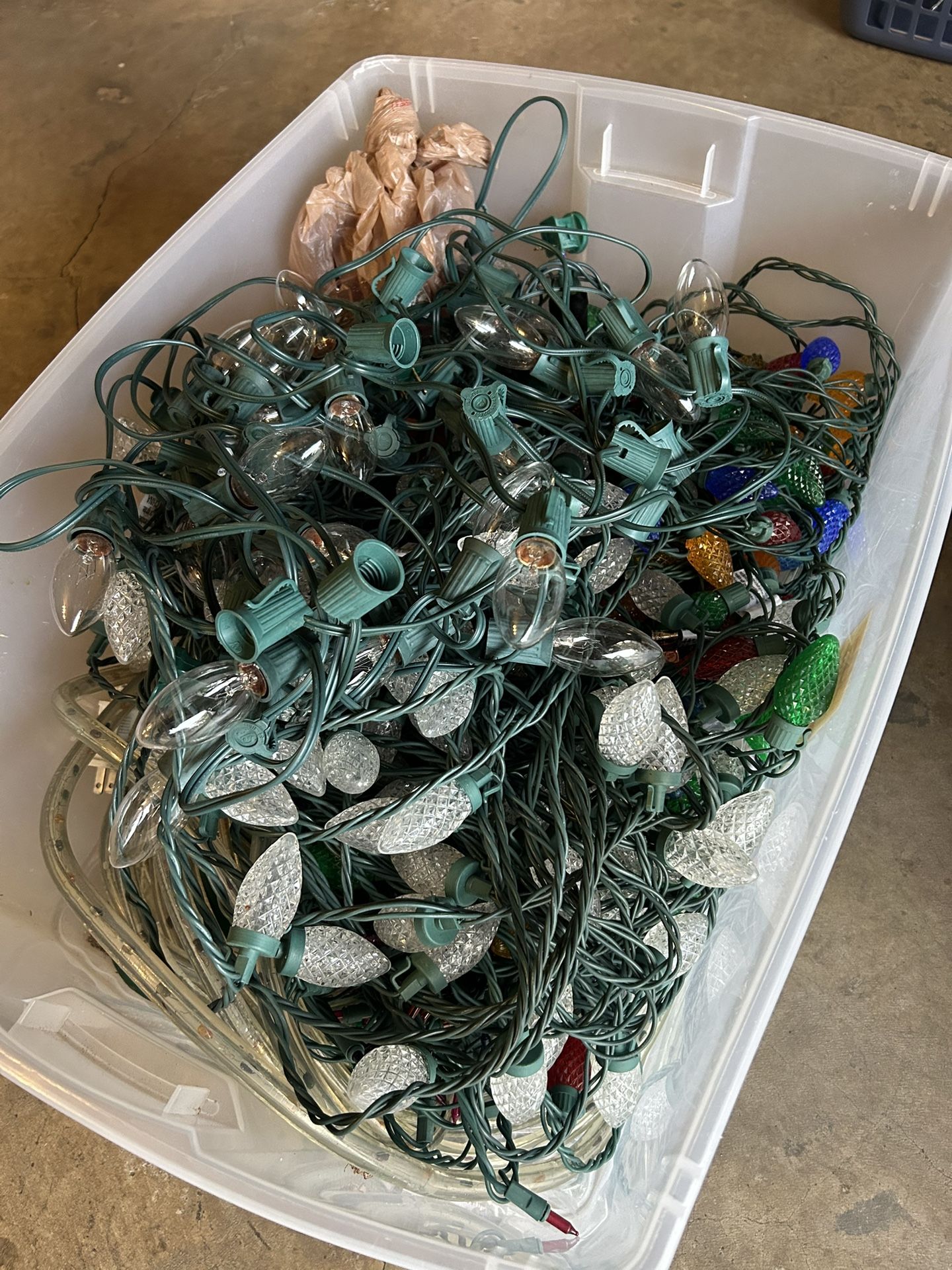 Christmas Lights 