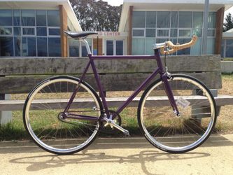 Fixed Gear Bicycle (custom, belt drive, track)