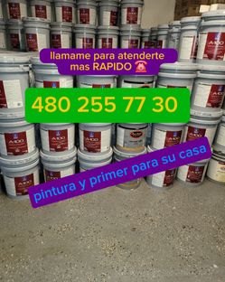 Paint and primer