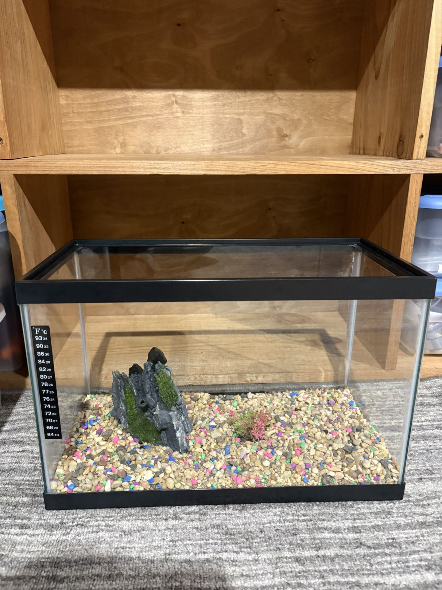 5-Gallon Fish Tank
