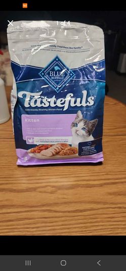 Kitten cat food