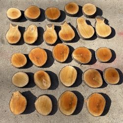 Bradford Pear Wood Live Edge Slice Cookie