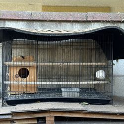 Cage For Birds.