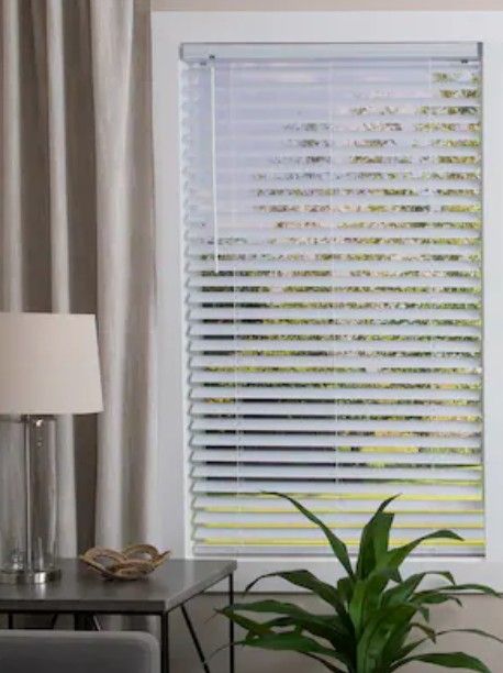 Project Source 32×64 In #1137693 BLINDS ONLY