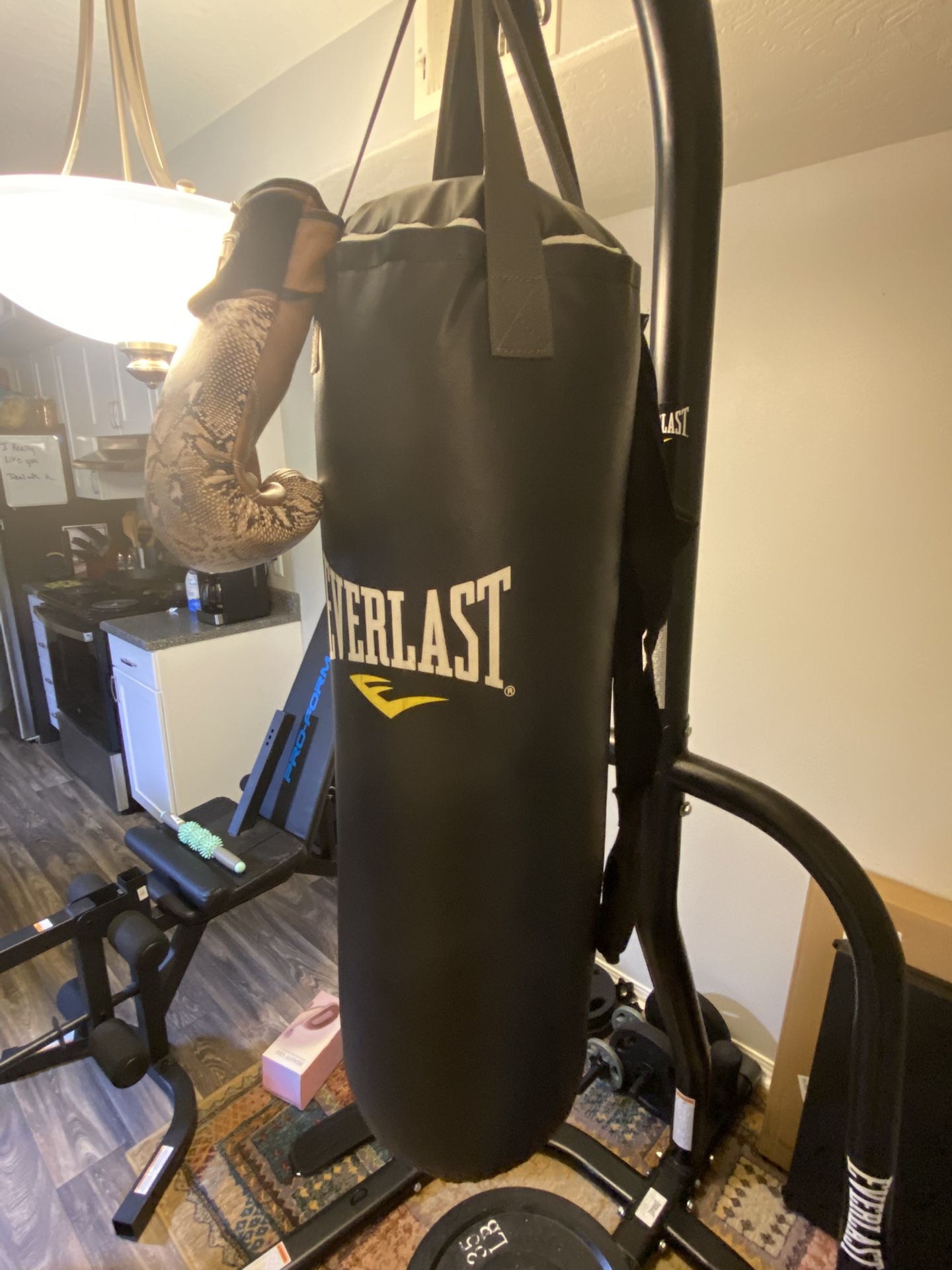 Everlast Heavy Bag And Stand
