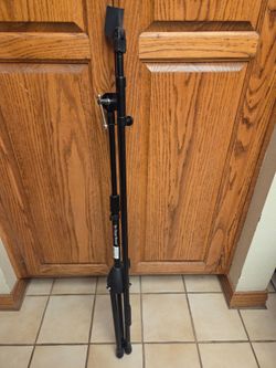 On stage stands microphone stand