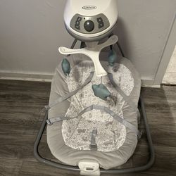 Graco Baby Swing