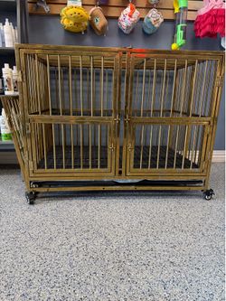GOLD KENNEL