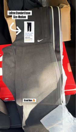 LeBron Standard Issue