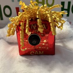 Santa Cam