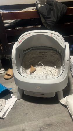 Cat box automatic