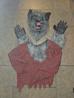 Kids werewolf costume