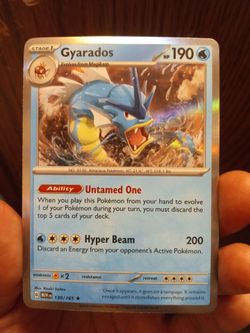Gyarados Holo 💦💦💦