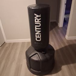 Century Waves Master