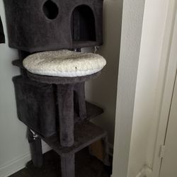 Large Cat Post