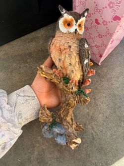 Owls