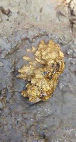Gold nugget